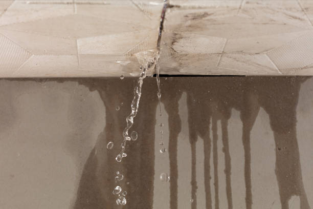 Professional Structural Drying technician working in Pine Mountain, GA